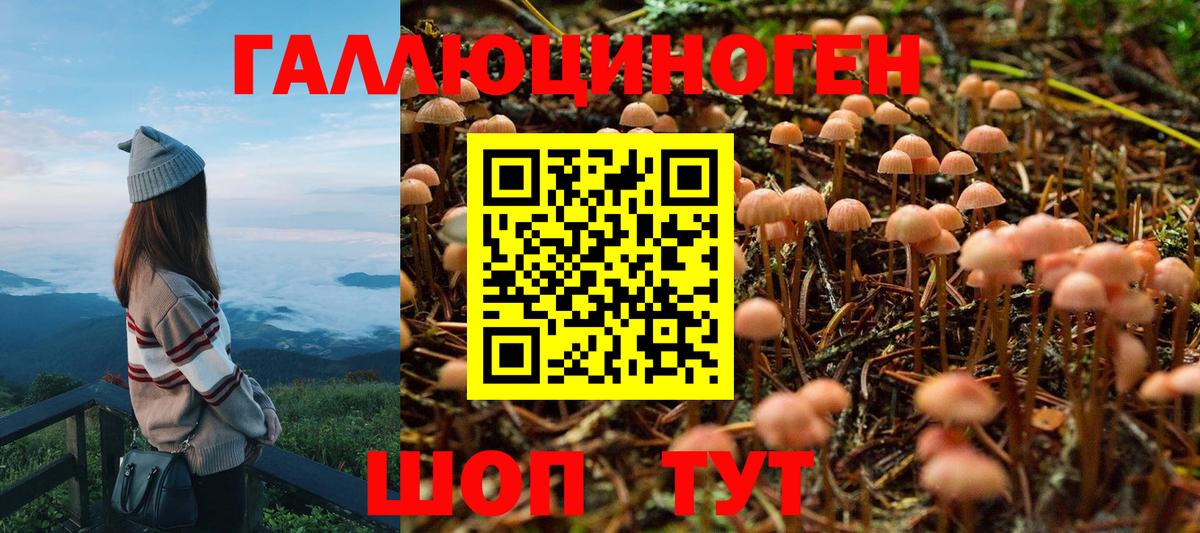 Псилоцибиновые грибы MAGIC MUSHROOMS  Вход с VPN  Пугачёв 