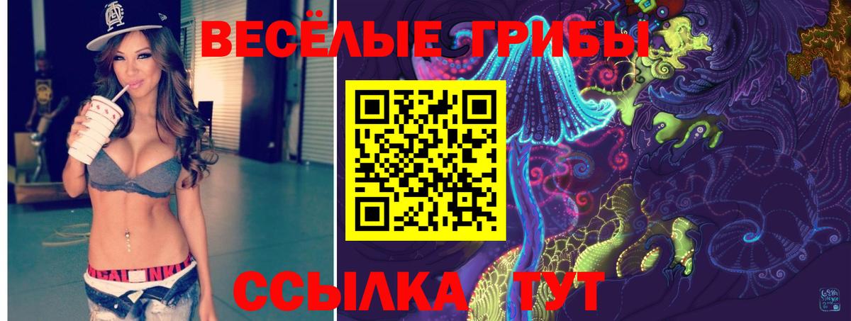 Псилоцибиновые грибы мицелий Пугачёв