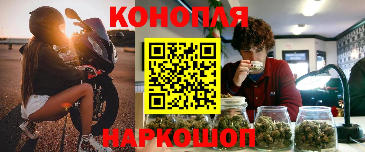 Каннабис OG Kush Пугачёв